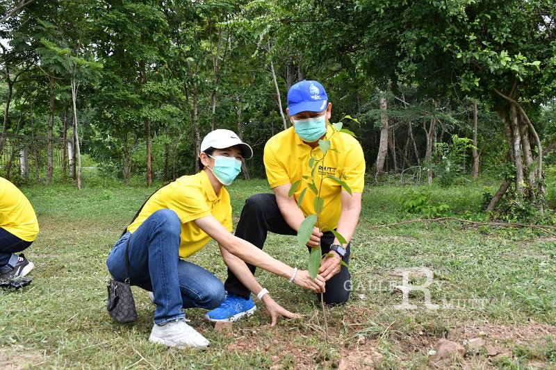 20210526-Tree planting dayt-077.JPG